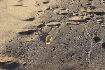 footprints in the sand on the shores of the Mediterranean Sea in the north of Israel