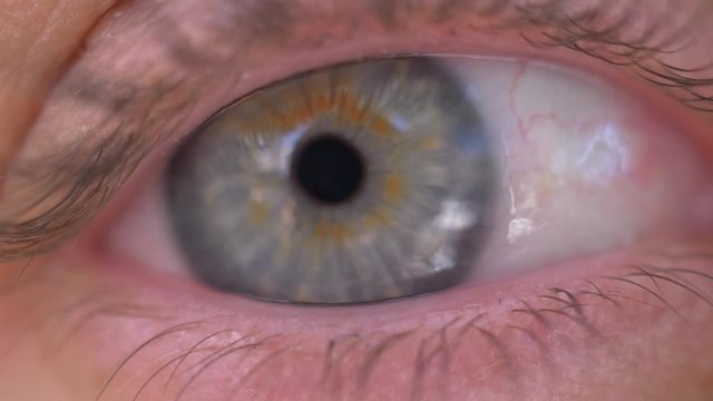 Macro of woman eye, gren and blue clored eye close up