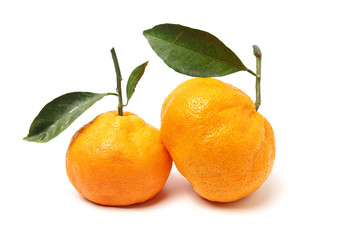 ugly tangerine on a white background 
