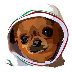 Cute chihuahua dog vector illustration