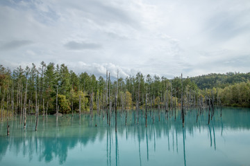 青い池