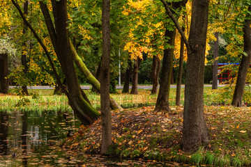 Fototapeta na wymiar Jesień w Parku Lubomirskich, Dojlidy, Białystok, Podlasie, Polska