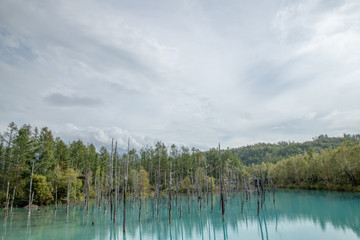 青い池