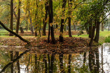 Jesień w Parku Lubomirskich, Dojlidy, Białystok, Podlasie, Polska