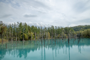 青い池