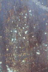large Rusty texture perfect for your background with space for adding your text or image.