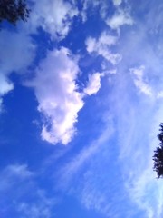 Fluffy White Clouds Ascending In Louisiana Sky