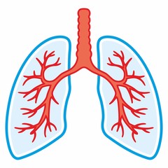 Lung icon. Simple design. Line vector. Isolate on white background. Pulmonology Icon