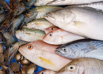 Obraz premium Fresh raw seafood background