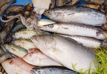 Fresh seafood background