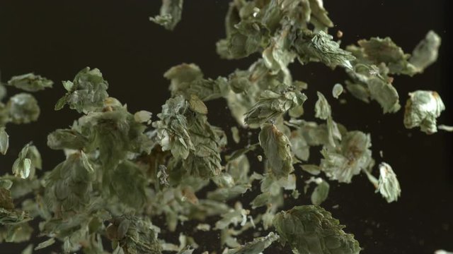 Hops in super slow motion