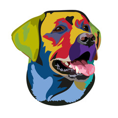 Muzzle Labrador Retriever Color Vector Illustration
