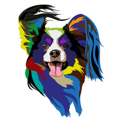 papillon dog color vector 