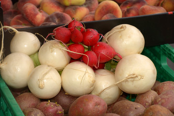 bio store with ripe radish and beetroot, fresh beetroot and radish in a basket on a healthy market