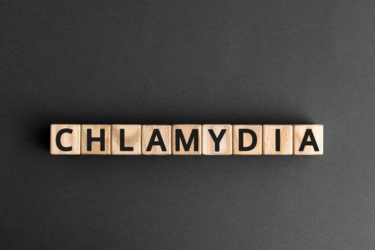 Chlamydia - word from wooden blocks with letters, parasitic bacterium chlamydia concept, grey background