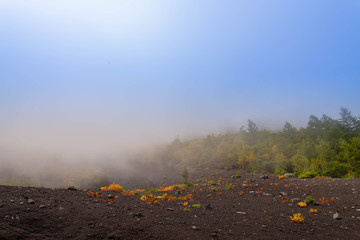 Fototapeta premium Mount Fuji, nature and fog