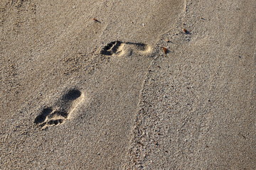 footprints in the sand on the shores of the Mediterranean Sea in the north of Israel