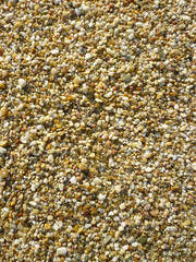 beach sand