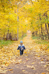 Obraz premium a little boy walks in the autumn forest