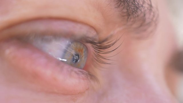 Macro of woman eye, gren and blue clored eye close up