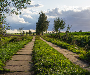 Fototapeta na wymiar concrete slab farm road in warm sunset light with trees and green fields