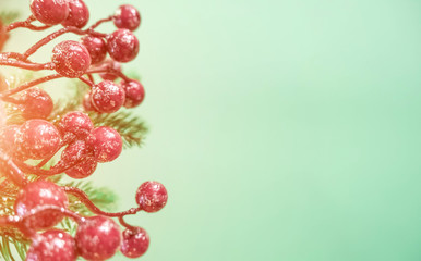 Christmas decorations with red berries and fir branches on a beautiful mint background
