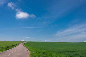 route partant vers l'horizon traverse la campagne verte