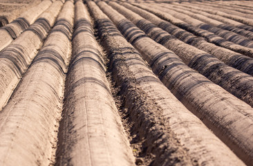 Fototapeta premium Paysage terre labourée. Lignes, sillons, agriculture