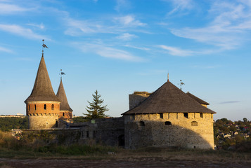 View on the castle at summer day