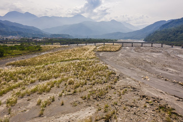 Naklejka premium landscape of golden miscanthus with mountain