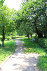 公園