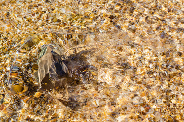 Stone in the clear water of the sea on the beach.