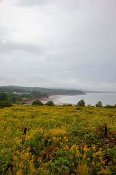 soley cove road view