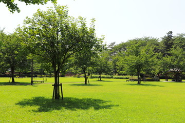 公園