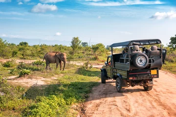 Tuinposter levende olifant op safari © Volodymyr Shevchuk