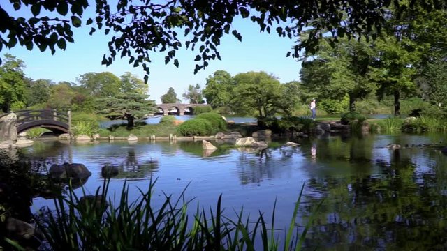 beautiful landscape view of a lovely Japanese style outdoor park for tourist to enjoy the lush green trees and the wonderful blue water during the summer and fall in Chicago. garden bring serenity