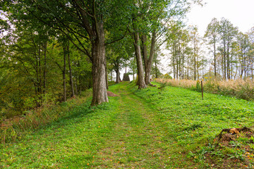Fototapeta premium The path leads in one directions. The way to the autumn park in the centre of the forest.