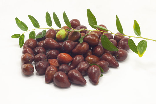 frutto rosso autunnale con ramo giuggiola 