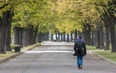 Colors of autumn. A man walks along an empty Boulevard framed by yellow-green trees.