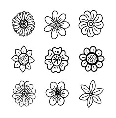 Doodle flowers, hand drawing, vesctor illustration