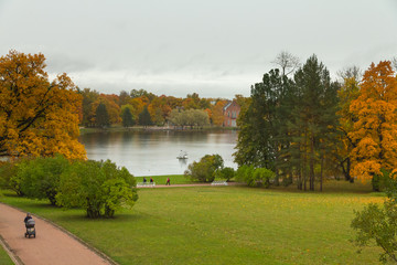 Autumn in the forest. Walk in the Park. Saint-Petersburg.