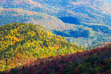 Autumn leaves in the mountains