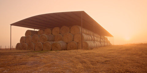 Bales of hay for supplemental feed for beef cattle 