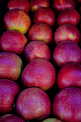 Rows of red apples in the market