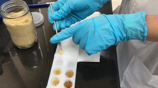operator hand in rubber groves is digging sample powder and pouring into plastic hole to test color changing when sample dissolve in solvent