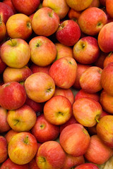 apples at the market
