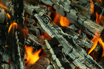 flame and burning firewood and coals close-up
