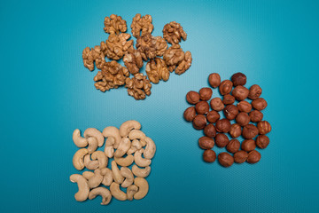 Hazelnuts, walnuts and cashews on a blue background. Set nuts studio image.