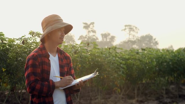 Asian woman farmer looking at cassava field while writing on clipboard.