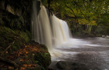 Autumn leaves at the waterfall called Sgwd Ddwli Isaf on the river Neath, near Pontneddfechan in South Wales, UK.